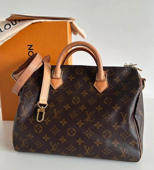 Sac Louis Vuitton Speedy 30